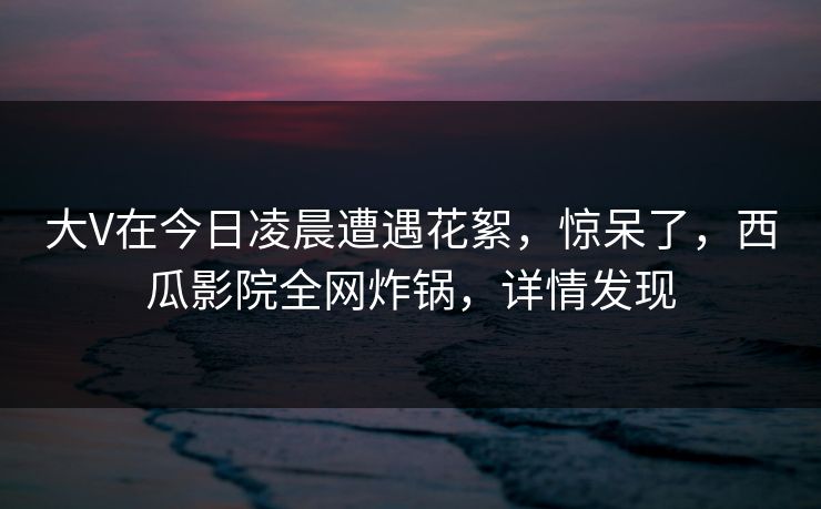 大V在今日凌晨遭遇花絮，惊呆了，西瓜影院全网炸锅，详情发现