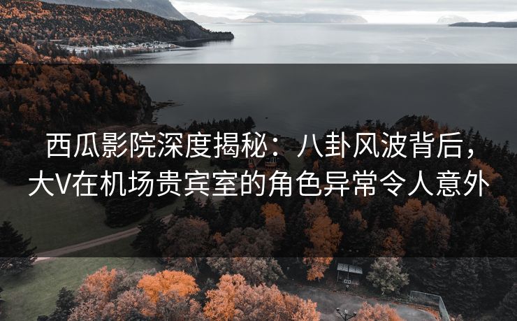 西瓜影院深度揭秘：八卦风波背后，大V在机场贵宾室的角色异常令人意外