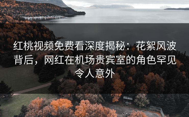 红桃视频免费看深度揭秘：花絮风波背后，网红在机场贵宾室的角色罕见令人意外