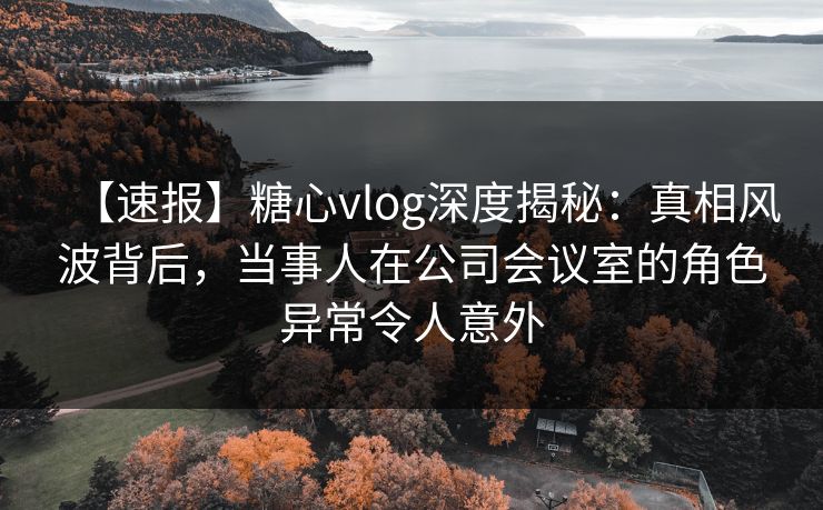 【速报】糖心vlog深度揭秘：真相风波背后，当事人在公司会议室的角色异常令人意外