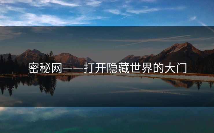 密秘网——打开隐藏世界的大门